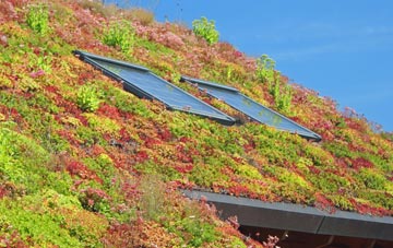 Shepherds Bush living roof systems